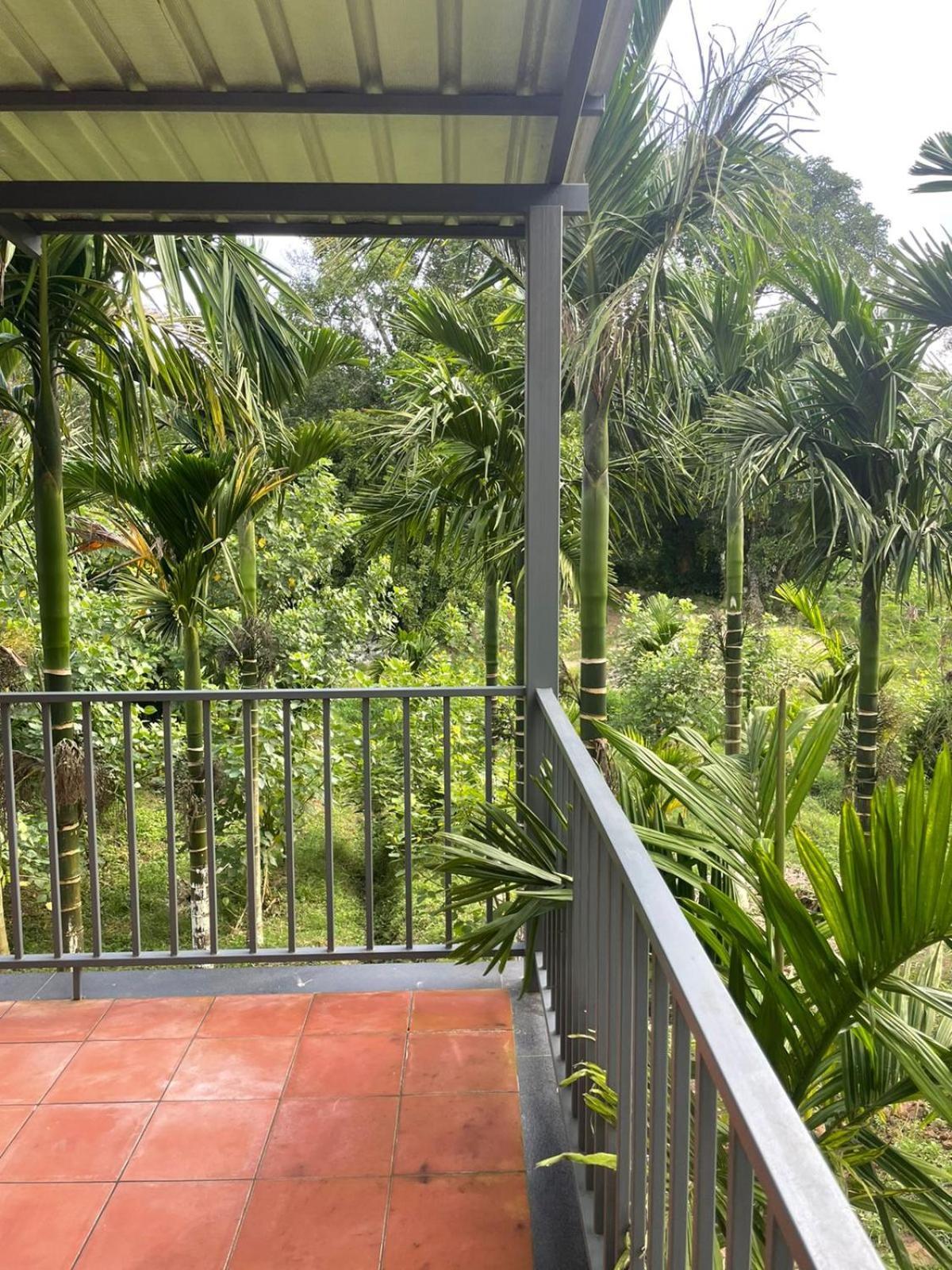 Biranji Aqua Retreat Hotel Chikmagalūr Eksteriør billede